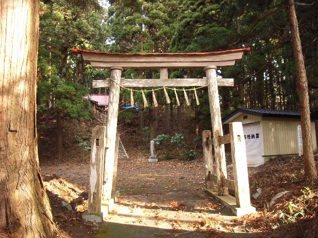 �����_��