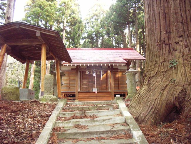 �����_��