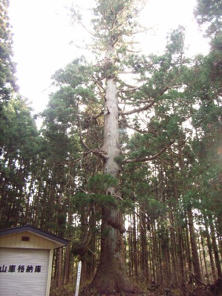 �����_��