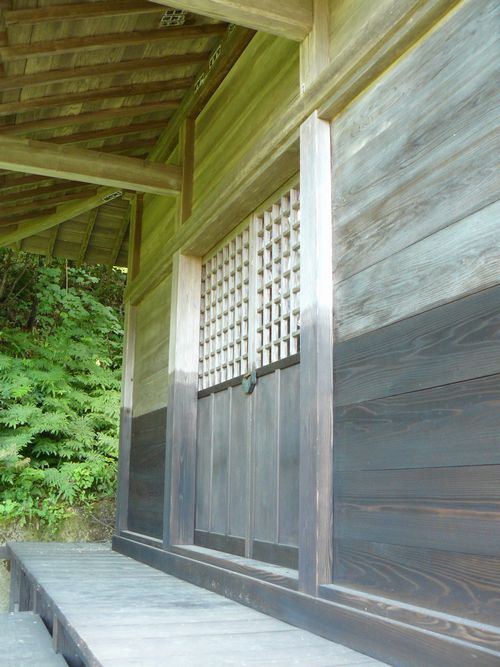 ���q����_��