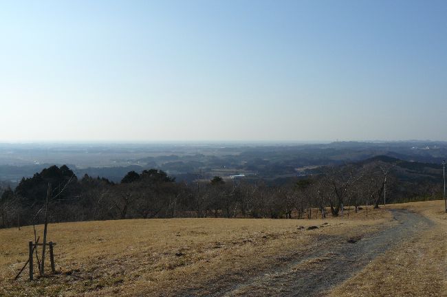 �����R�v�喃�_��