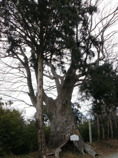 �������_��