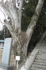 ���Ώ��s�_��