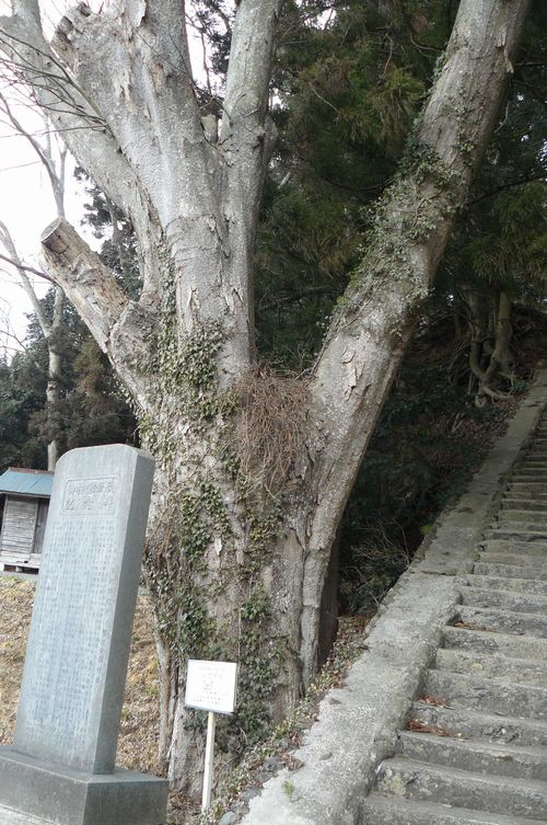 ���Ώ��s�_��