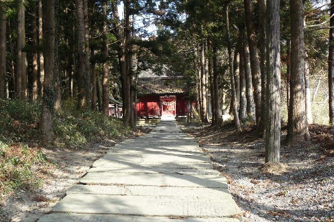 �����_��