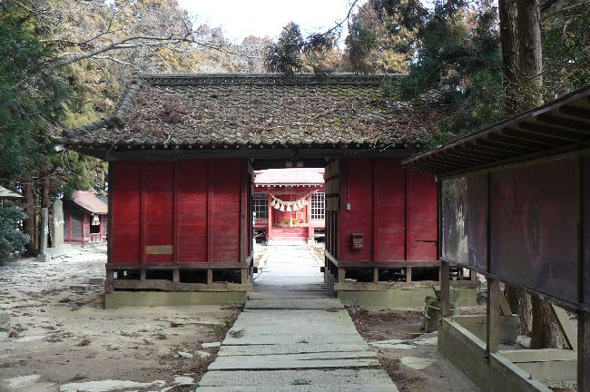 �����_��