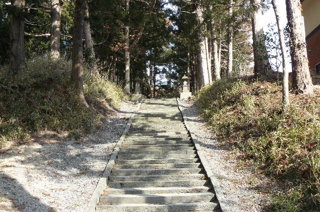 �����_��