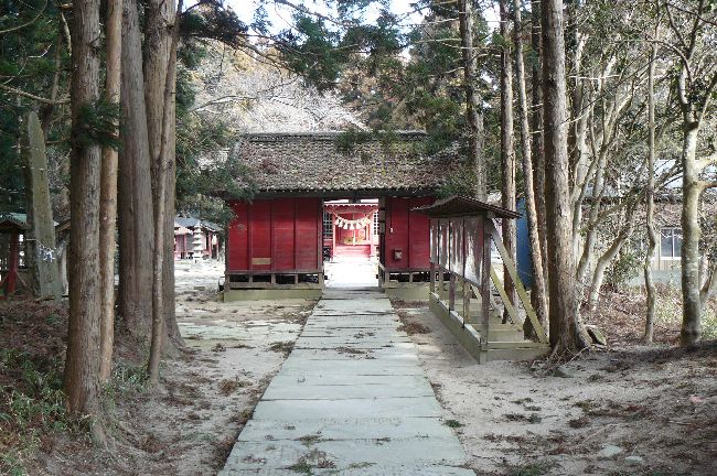 �����_��