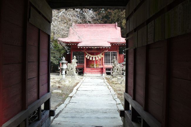 �����_��