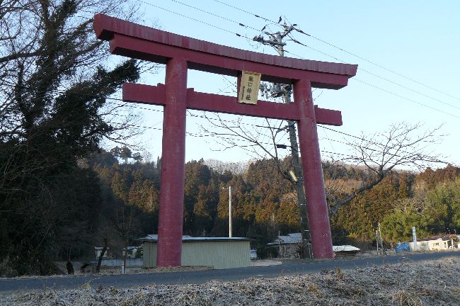 �����_��