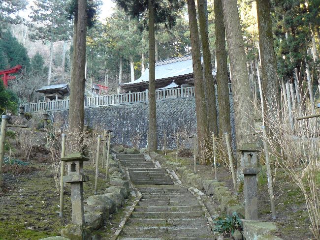 �����_��