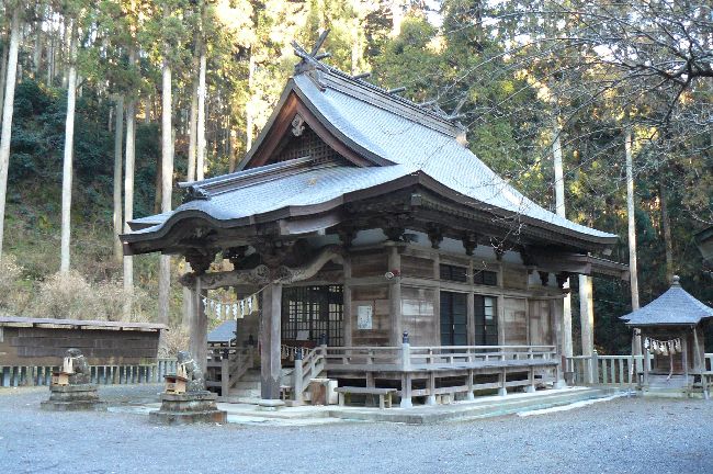 �����_��