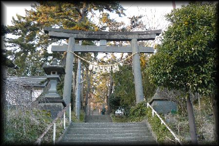 鳥屋神社参道石段から見上げた石鳥居と石燈篭
