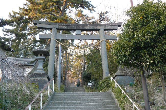 �ɒB�c�M�i�����_�Ёj