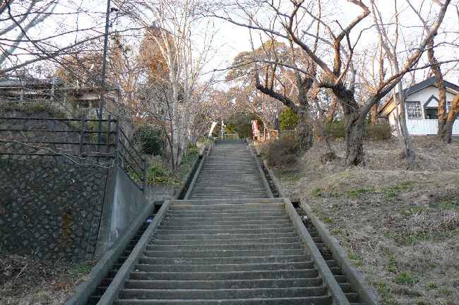 �����_��