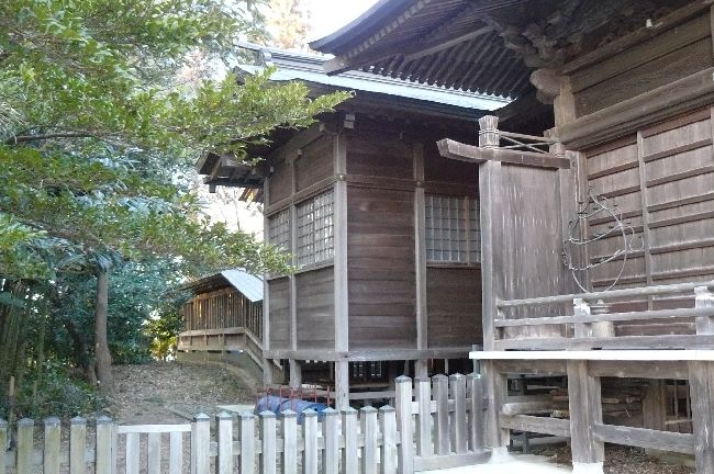 �����_��