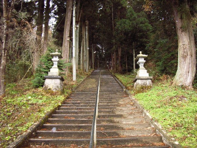 ��q�R�����_��