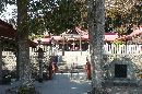 金蛇水神社大木から垣間見える神橋と参拝者の身を清める手水舎