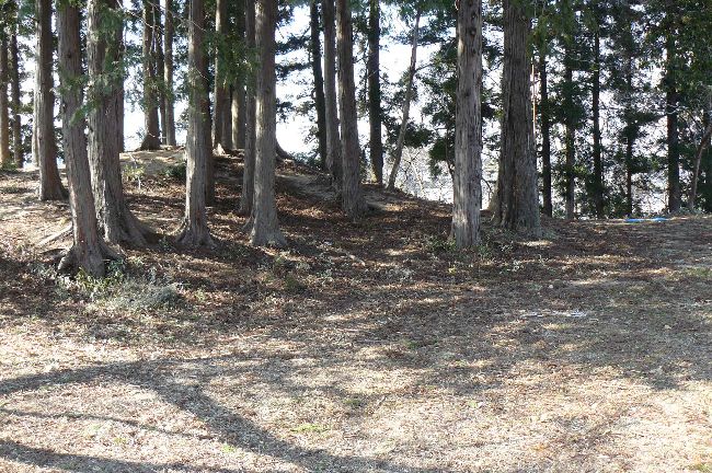 �L�����i�����j