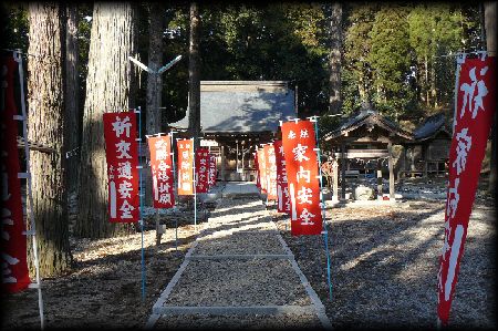 �M�����F�_��