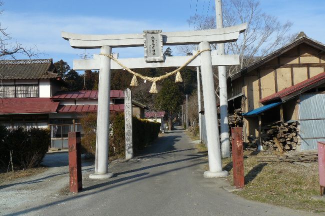 �M�����F�_��