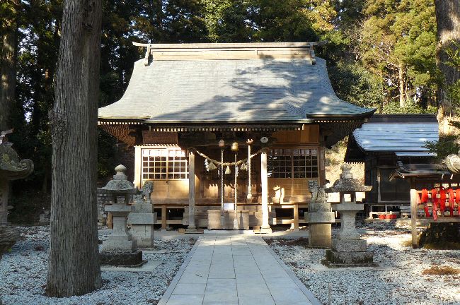 �M�����F�_��