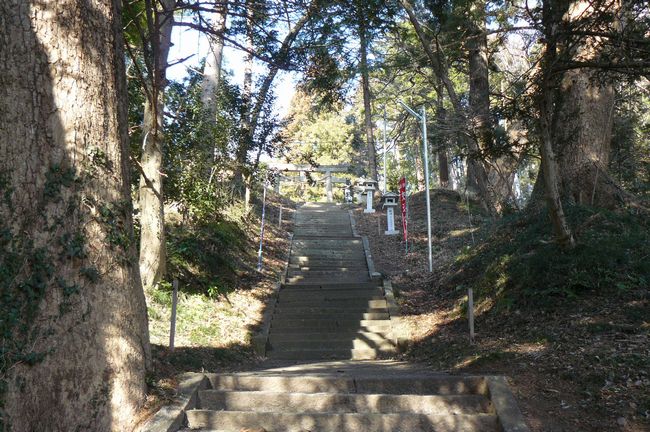 �M�����F�_��