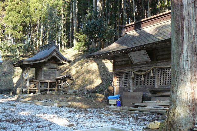 �M�����F�_��