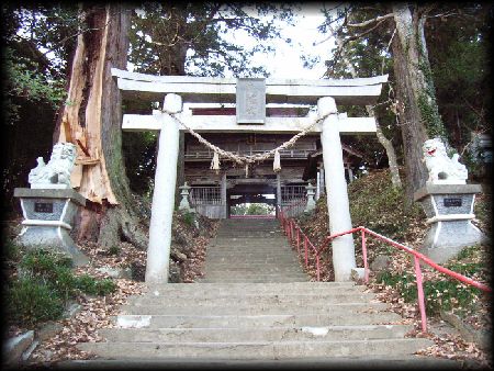 �����_��