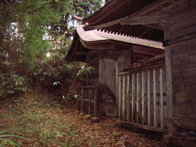 �l���_��