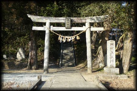 �����_��