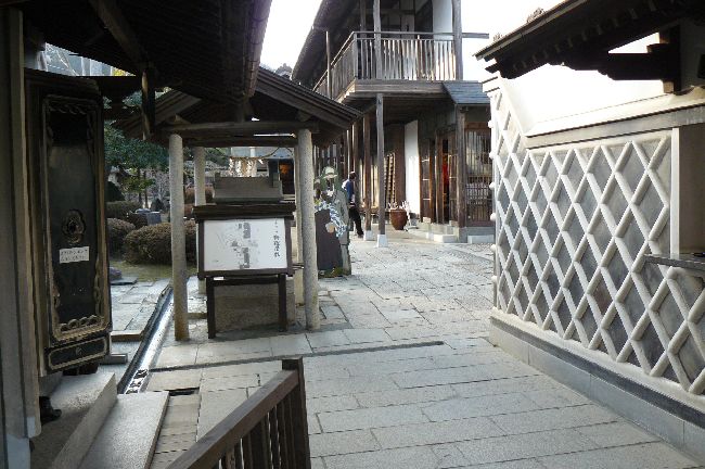 �V�����~