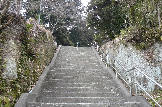 ���g�R���_��