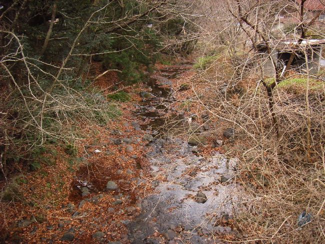 �W�����W��