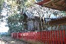 伊達斉村と縁がある道祖神社（佐倍乃神社）