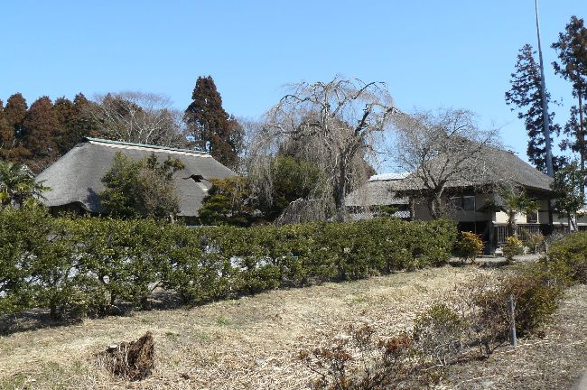 �����ƏZ��