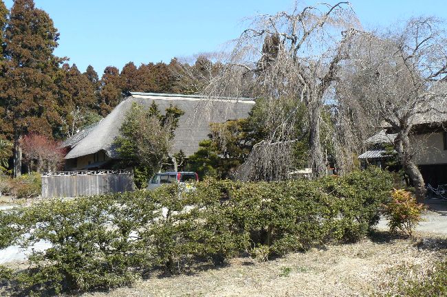 �����ƏZ��