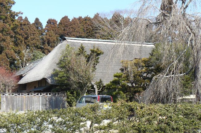 �����ƏZ��