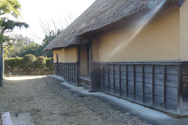 ������ƏZ��