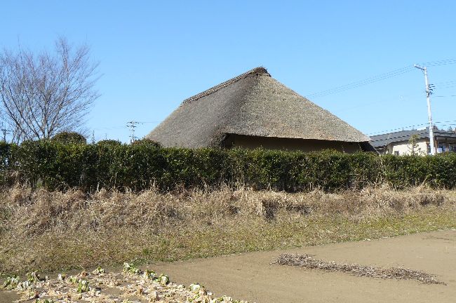 ������ƏZ��