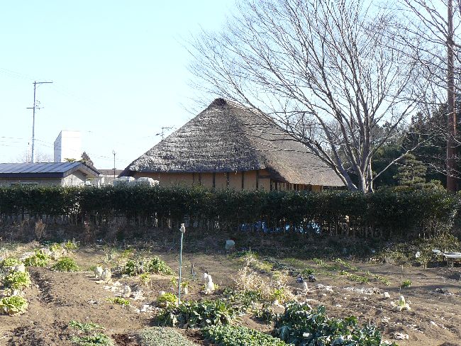 ������ƏZ��