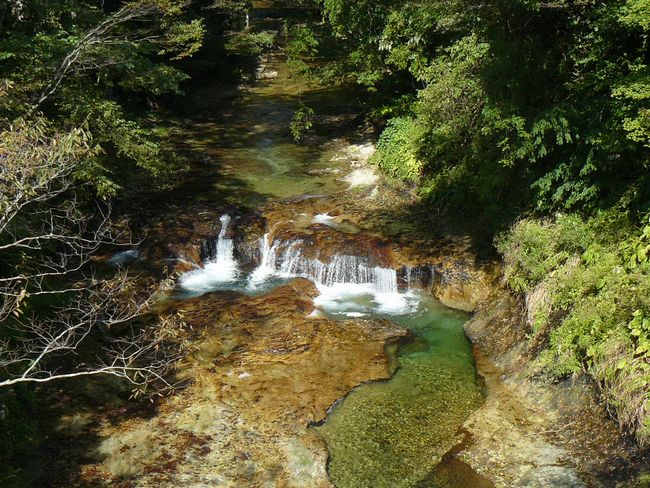 ������򒬕���