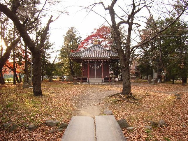 �y��ω���