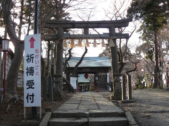 �����_��