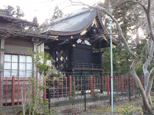 �����_��