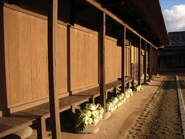 ���Ί_�ƏZ��