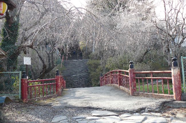 �T�������{