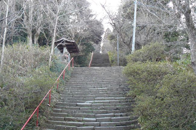 �T�������{