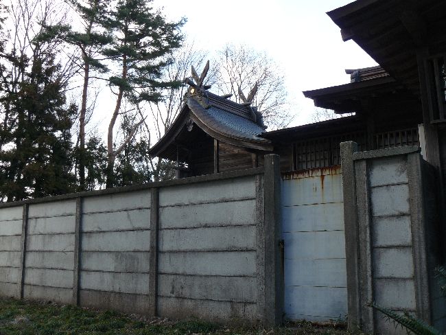 �T�������{