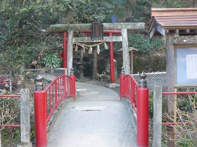 �O����s����